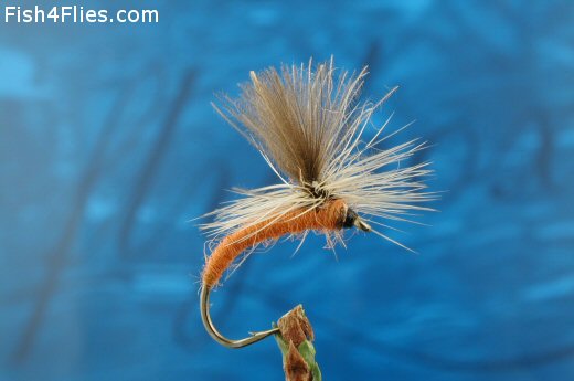 Fish4Flies CDC Kinkhammer - Rust Orange